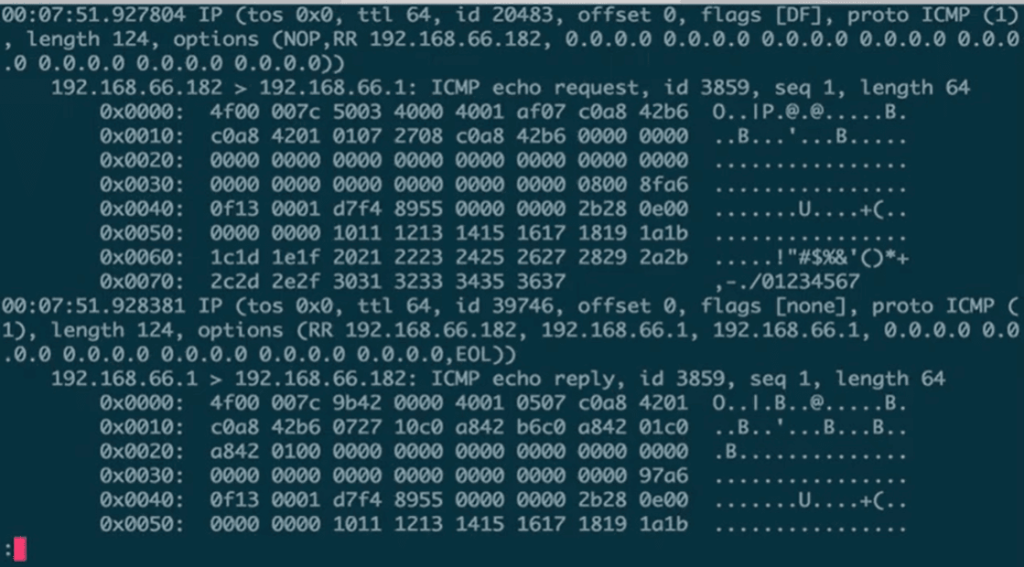 tcpdump screenshot