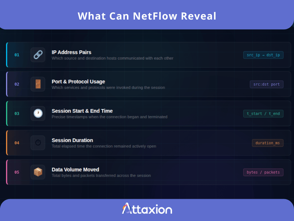 What can netflow reveal in cybersecrutiy