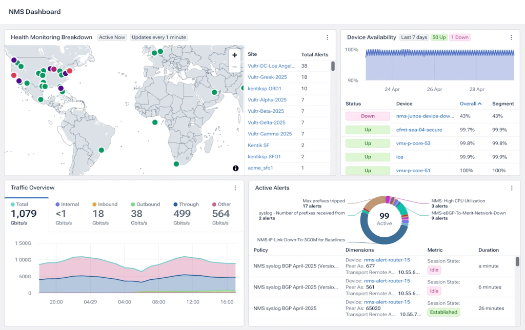 Kentik Network Monitoring System screenshot