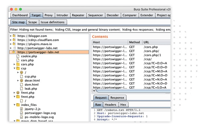 Burp Suite Professional site map showing target hosts, requests, and HTTP request details